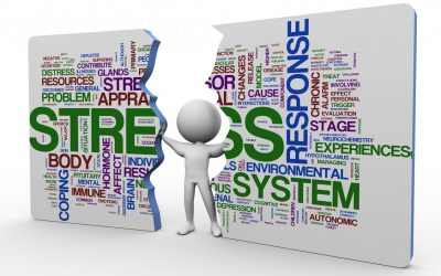 Response to Stress can become a habit