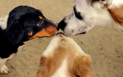 The Power of 3 – Why Three Works Like Magic